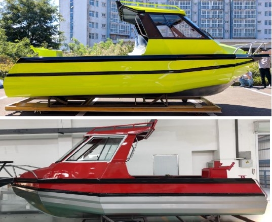 6.25 colours Wild One 